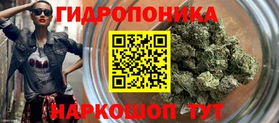 стаф Ипатово