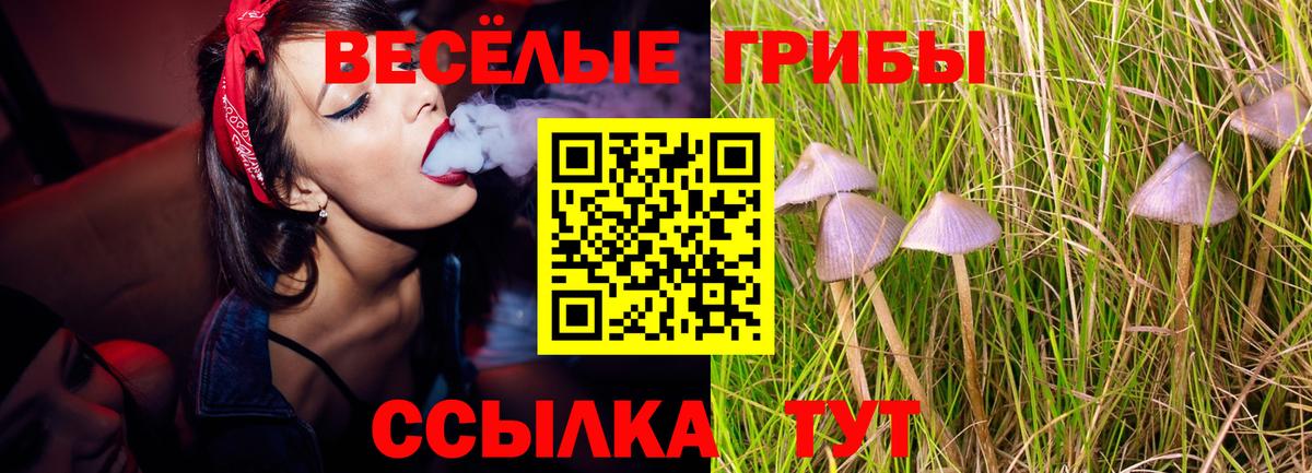 Галлюциногенные грибы мицелий  Псилоцибиновые грибы Magic Shrooms  Вход с VPN  Кызыл 